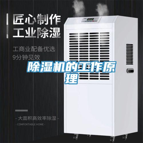除濕機(jī)的工作原理