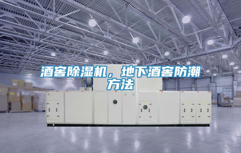 酒窖除濕機(jī)，地下酒窖防潮方法