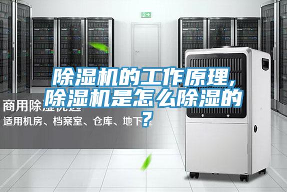 除濕機的工作原理,除濕機是怎么除濕的？