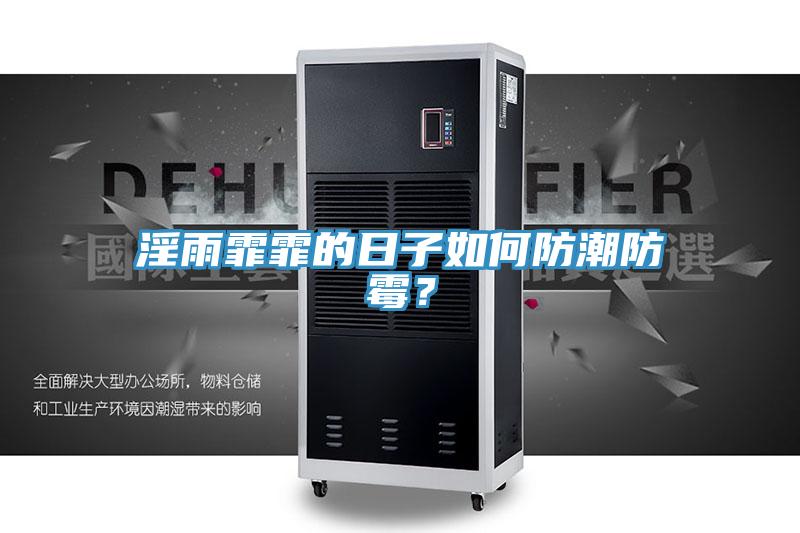 淫雨霏霏的日子如何防潮防霉？