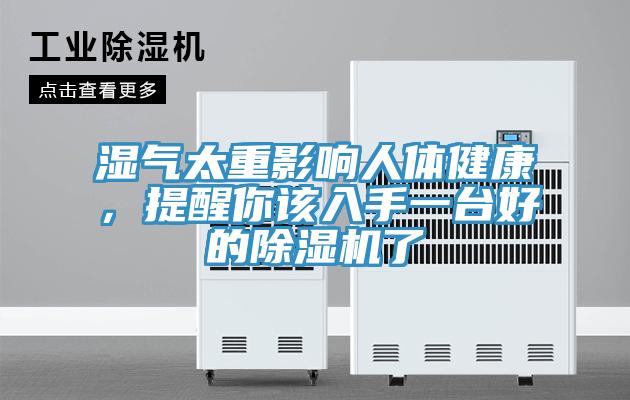 濕氣太重影響人體健康，提醒你該入手一臺好的除濕機了