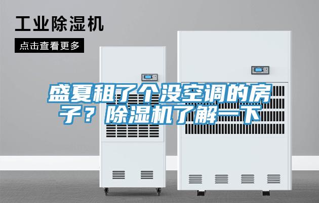 盛夏租了個沒空調(diào)的房子？除濕機了解一下