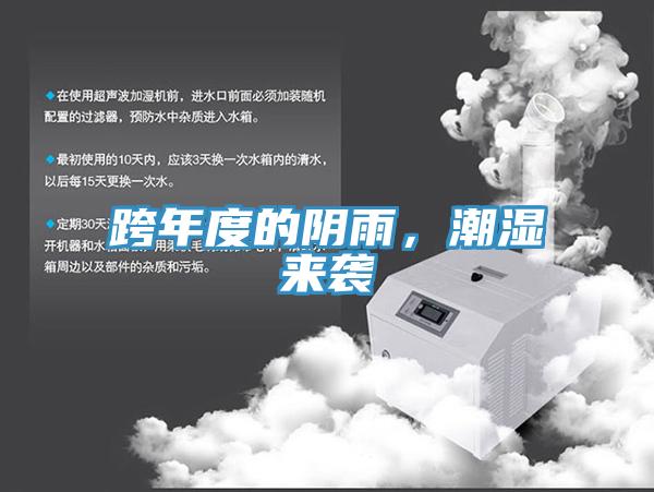 跨年度的陰雨，潮濕來襲