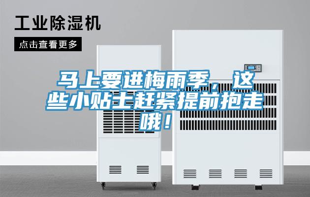 馬上要進梅雨季，這些小貼士趕緊提前抱走哦！