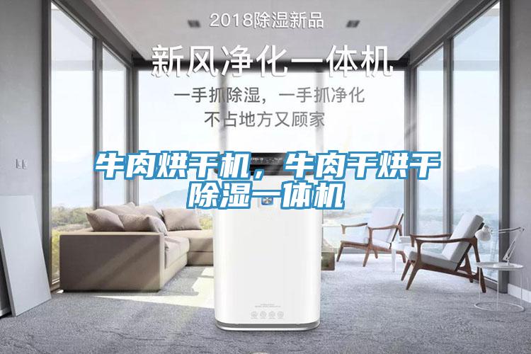 牛肉烘干機，牛肉干烘干除濕一體機