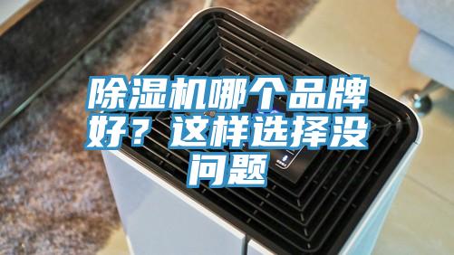 除濕機(jī)哪個(gè)品牌好？這樣選擇沒問題