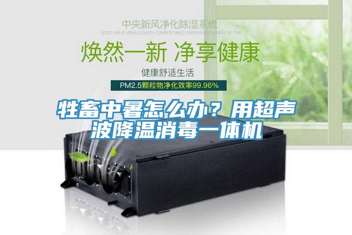 牲畜中暑怎么辦？用超聲波降溫消毒一體機