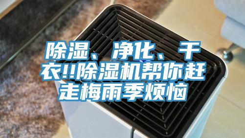 除濕、凈化、干衣!!除濕機(jī)幫你趕走梅雨季煩惱