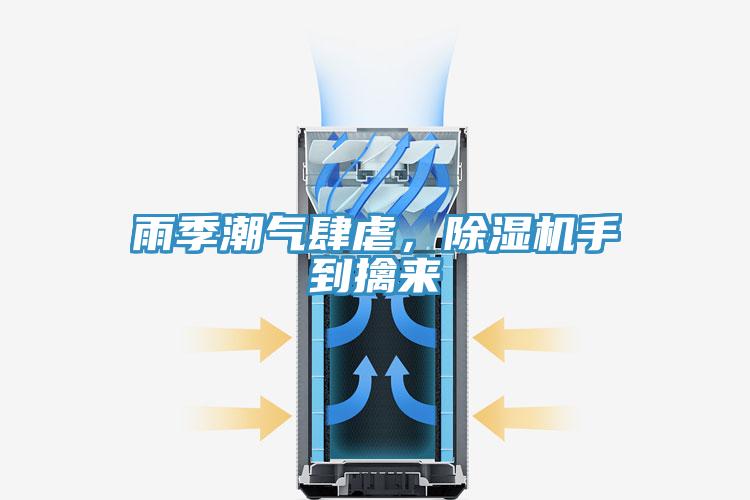 雨季潮氣肆虐，除濕機手到擒來