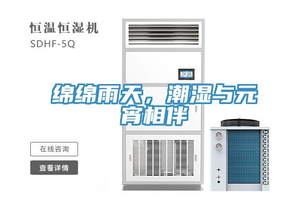 綿綿雨天，潮濕與元宵相伴