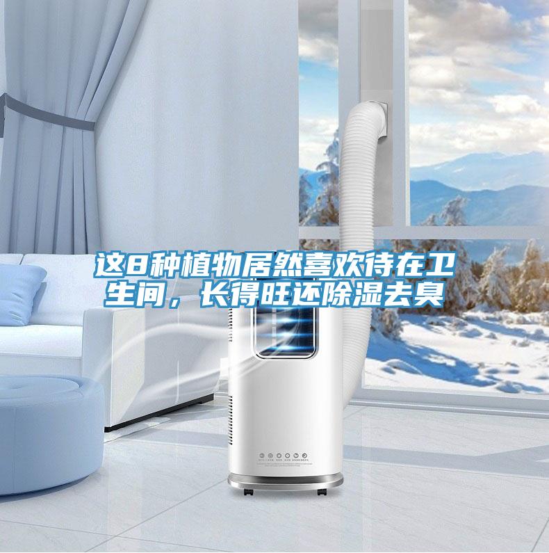 這8種植物居然喜歡待在衛(wèi)生間，長得旺還除濕去臭