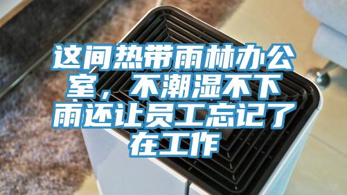 這間熱帶雨林辦公室，不潮濕不下雨還讓員工忘記了在工作