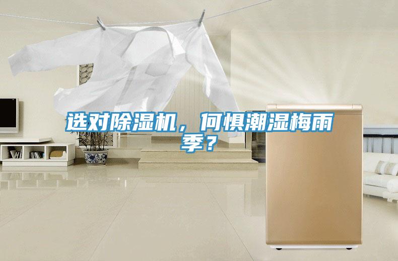 選對除濕機，何懼潮濕梅雨季？