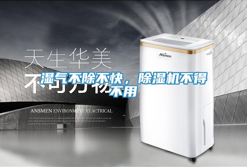 濕氣不除不快，除濕機不得不用