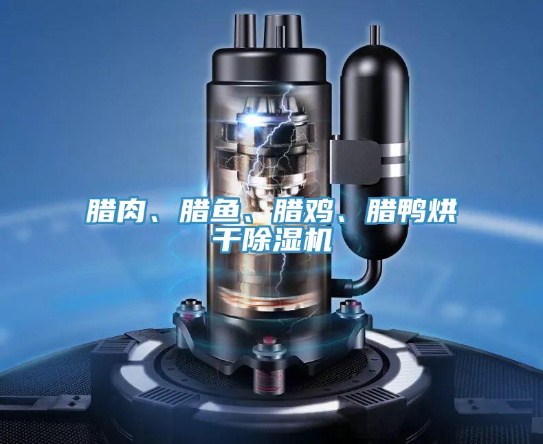 臘肉、臘魚、臘雞、臘鴨烘干除濕機(jī)