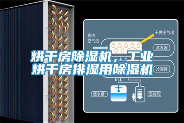 烘干房除濕機(jī)，工業(yè)烘干房排濕用除濕機(jī)