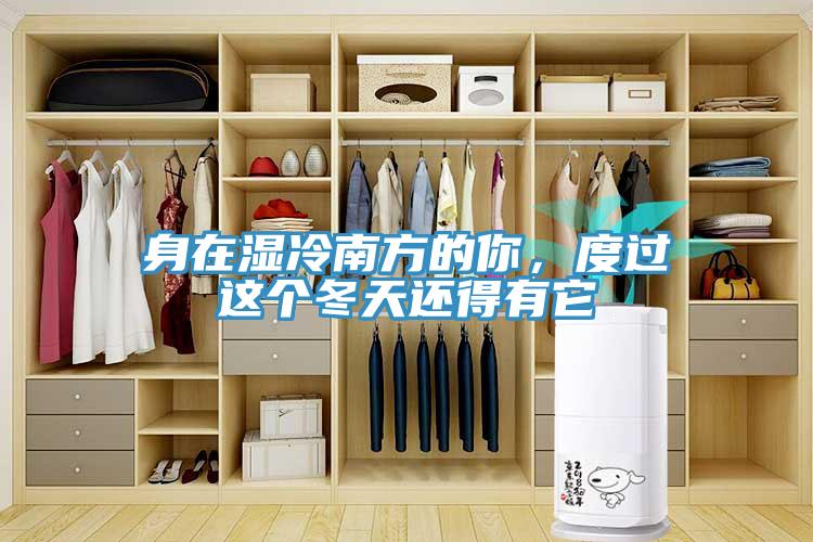 身在濕冷南方的你，度過(guò)這個(gè)冬天還得有它