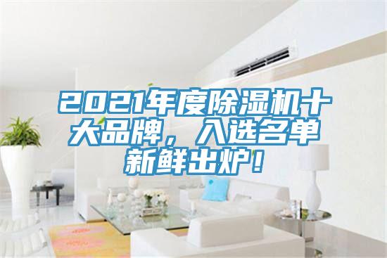 2021年度除濕機(jī)十大品牌，入選名單新鮮出爐！