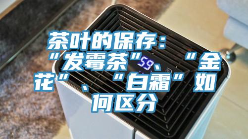 茶葉的保存：“發(fā)霉茶”、“金花”、“白霜”如何區(qū)分