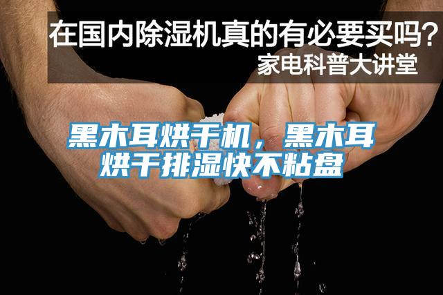 黑木耳烘干機(jī)，黑木耳烘干排濕快不粘盤