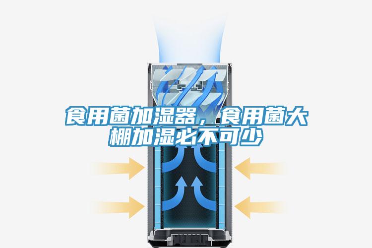 食用菌加濕器，食用菌大棚加濕必不可少
