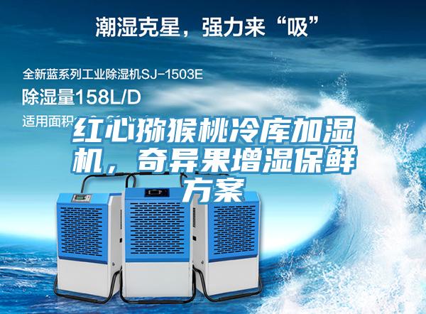 紅心獼猴桃冷庫加濕機，奇異果增濕保鮮方案