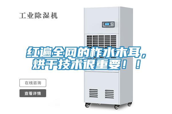 紅遍全網(wǎng)的柞水木耳，烘干技術(shù)很重要?。?></div>
								<div   id=