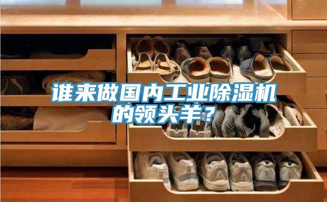 誰來做國內(nèi)工業(yè)除濕機的領(lǐng)頭羊？