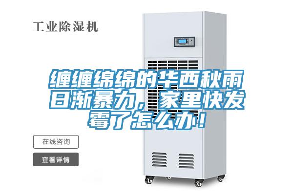 纏纏綿綿的華西秋雨日漸暴力，家里快發(fā)霉了怎么辦！