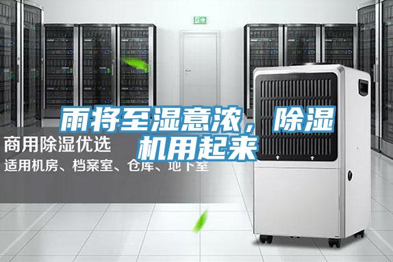 雨將至濕意濃，除濕機用起來