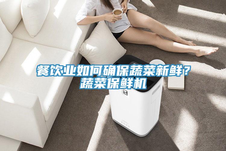 餐飲業(yè)如何確保蔬菜新鮮？蔬菜保鮮機(jī)
