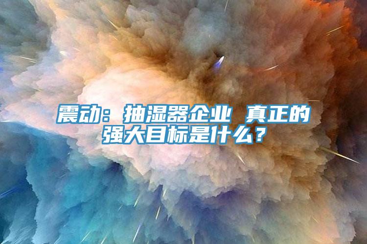 震動(dòng)：抽濕器企業(yè) 真正的強(qiáng)大目標(biāo)是什么？