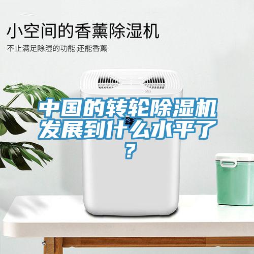 中國的轉(zhuǎn)輪除濕機(jī)發(fā)展到什么水平了？