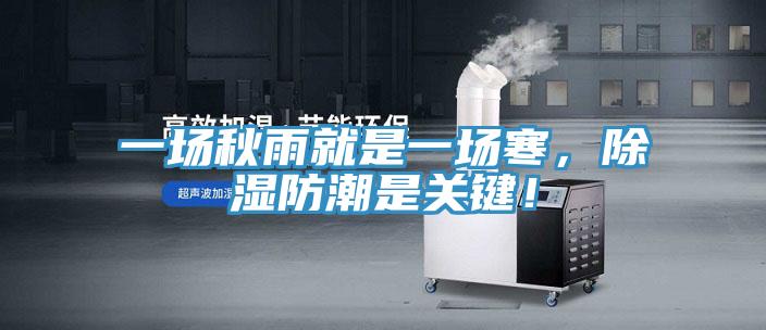 一場(chǎng)秋雨就是一場(chǎng)寒，除濕防潮是關(guān)鍵！
