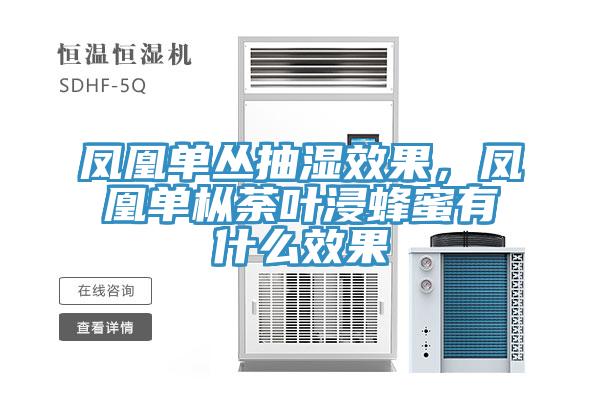 鳳凰單叢抽濕效果，鳳凰單樅荼葉浸蜂蜜有什么效果