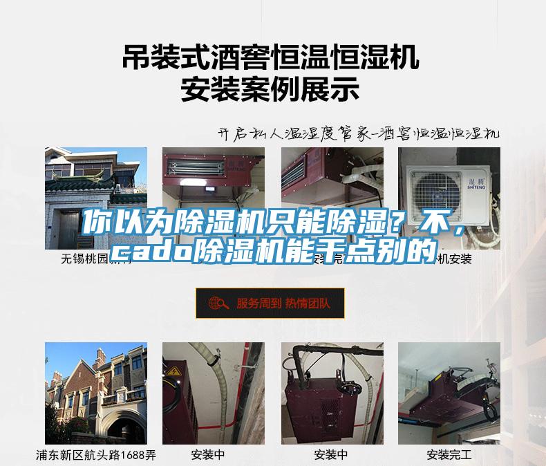 你以為除濕機(jī)只能除濕？不，cado除濕機(jī)能干點(diǎn)別的