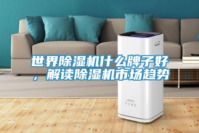 世界除濕機(jī)什么牌子好，解讀除濕機(jī)市場(chǎng)趨勢(shì)