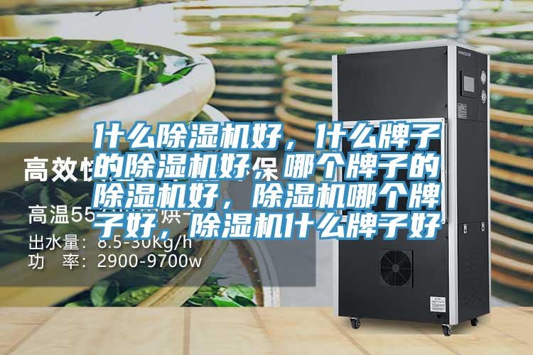 什么除濕機(jī)好，什么牌子的除濕機(jī)好，哪個牌子的除濕機(jī)好，除濕機(jī)哪個牌子好，除濕機(jī)什么牌子好