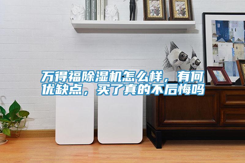 萬得福除濕機(jī)怎么樣，有何優(yōu)缺點(diǎn)，買了真的不后悔嗎