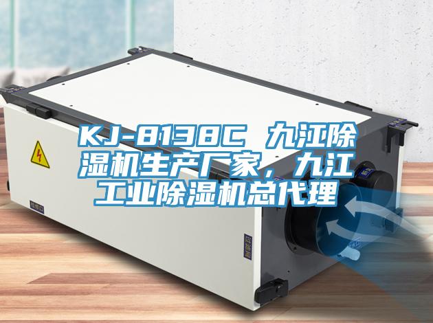 KJ-8138C 九江除濕機生產(chǎn)廠家，九江工業(yè)除濕機總代理