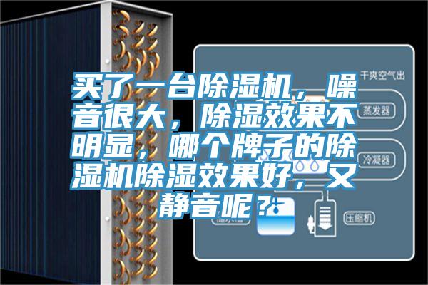 買了一臺除濕機，噪音很大，除濕效果不明顯，哪個牌子的除濕機除濕效果好，又靜音呢？