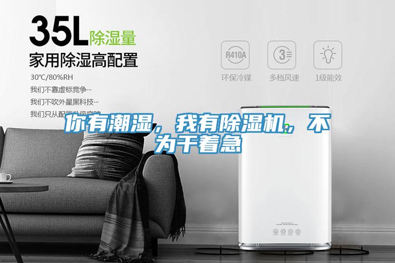 你有潮濕，我有除濕機(jī)，不為干著急