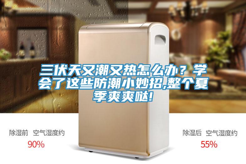 三伏天又潮又熱怎么辦？學會了這些防潮小妙招,整個夏季爽爽噠!