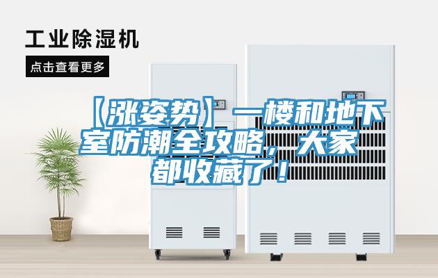 【漲姿勢(shì)】一樓和地下室防潮全攻略，大家都收藏了！