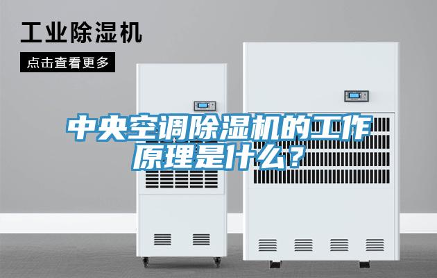 中央空調(diào)除濕機(jī)的工作原理是什么？