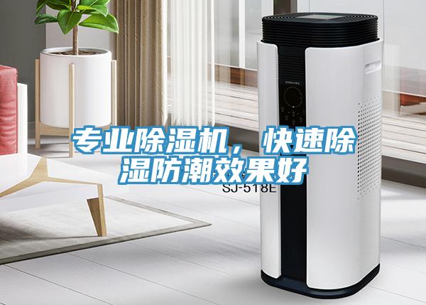專業(yè)除濕機(jī)，快速除濕防潮效果好