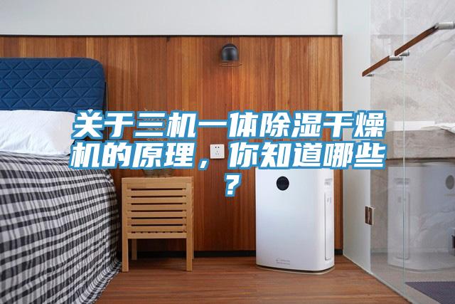 關(guān)于三機(jī)一體除濕干燥機(jī)的原理，你知道哪些？