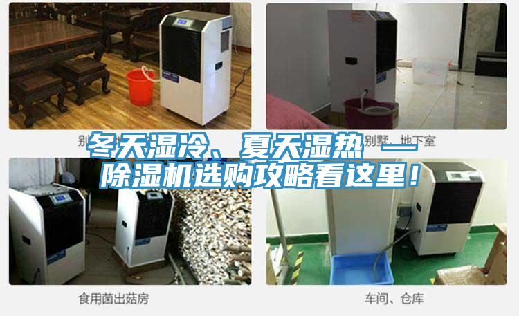 冬天濕冷、夏天濕熱 — 除濕機選購攻略看這里！