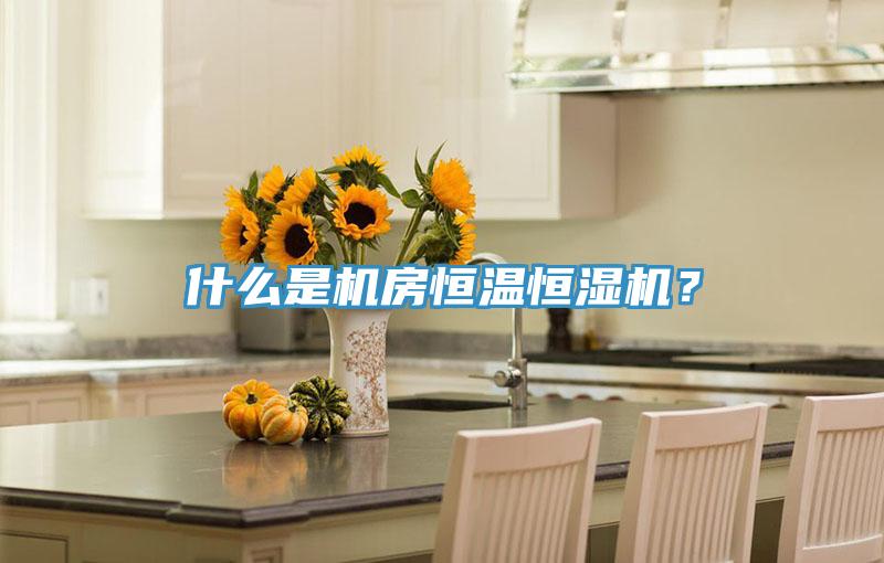 什么是機(jī)房恒溫恒濕機(jī)？