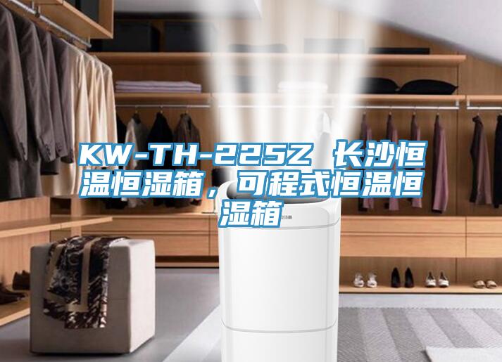 KW-TH-225Z 長(zhǎng)沙恒溫恒濕箱，可程式恒溫恒濕箱